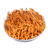 Cordyceps Militaris Premium Lab Cultivated Medicinal Mushroom