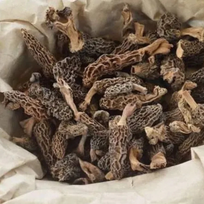 Gucchi Mushroom 100% Natural Premium Himalayan Morel Mushroom