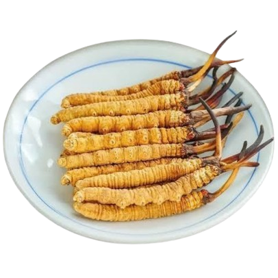 Keeda Jadi 100% Natural | Premium Ayurvedic Herbal Root