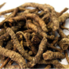 Kutki 100% Natural Premium Ayurvedic Herbal Root